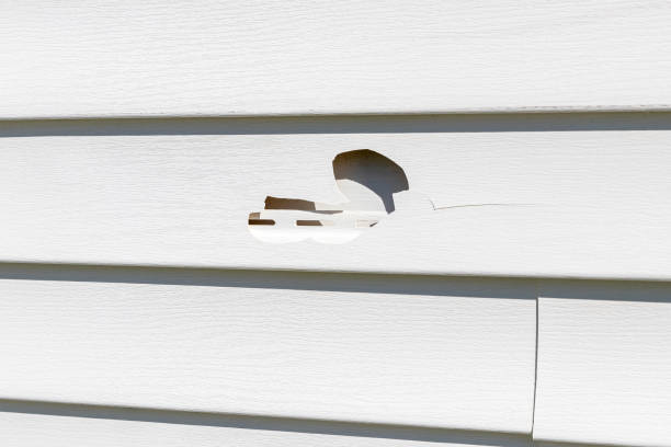 Best Carpet Removal and Disposal  in Helena Flats, MT