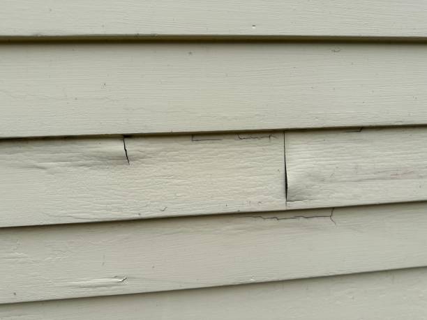 Best Property Management Cleanouts  in Helena Flats, MT